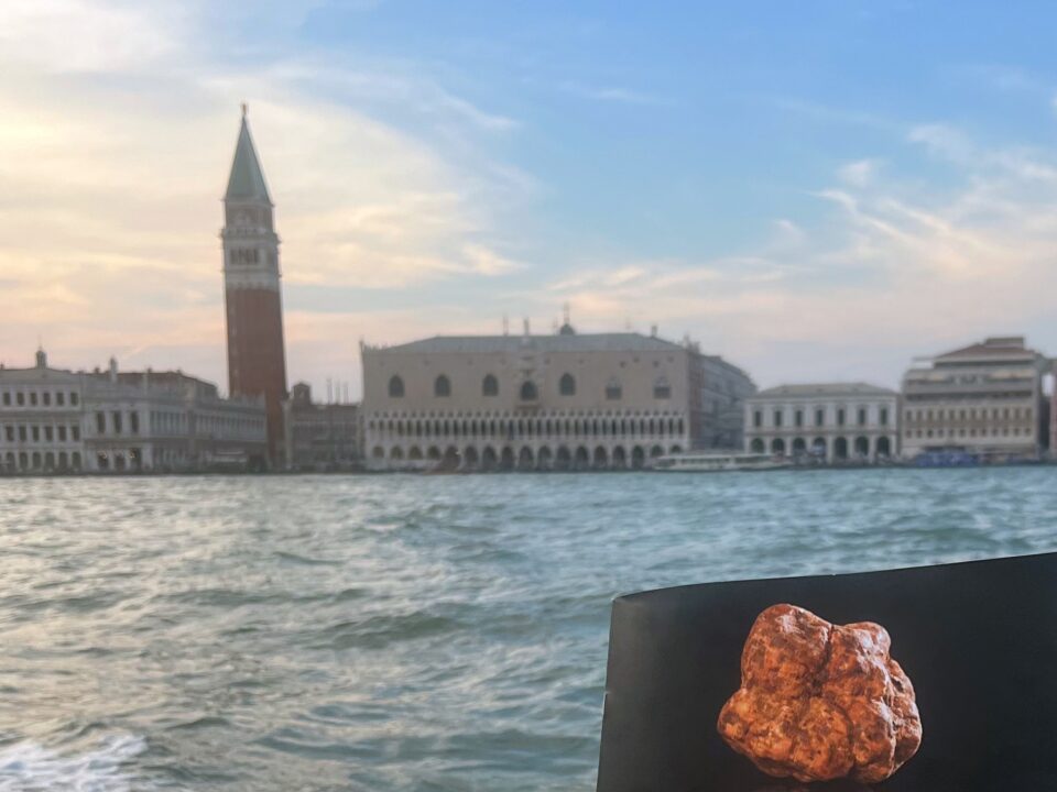 tesori del matese alla mostra del cinema di venezia